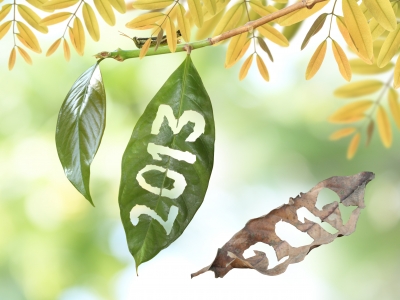 2013 – A Banner Year!